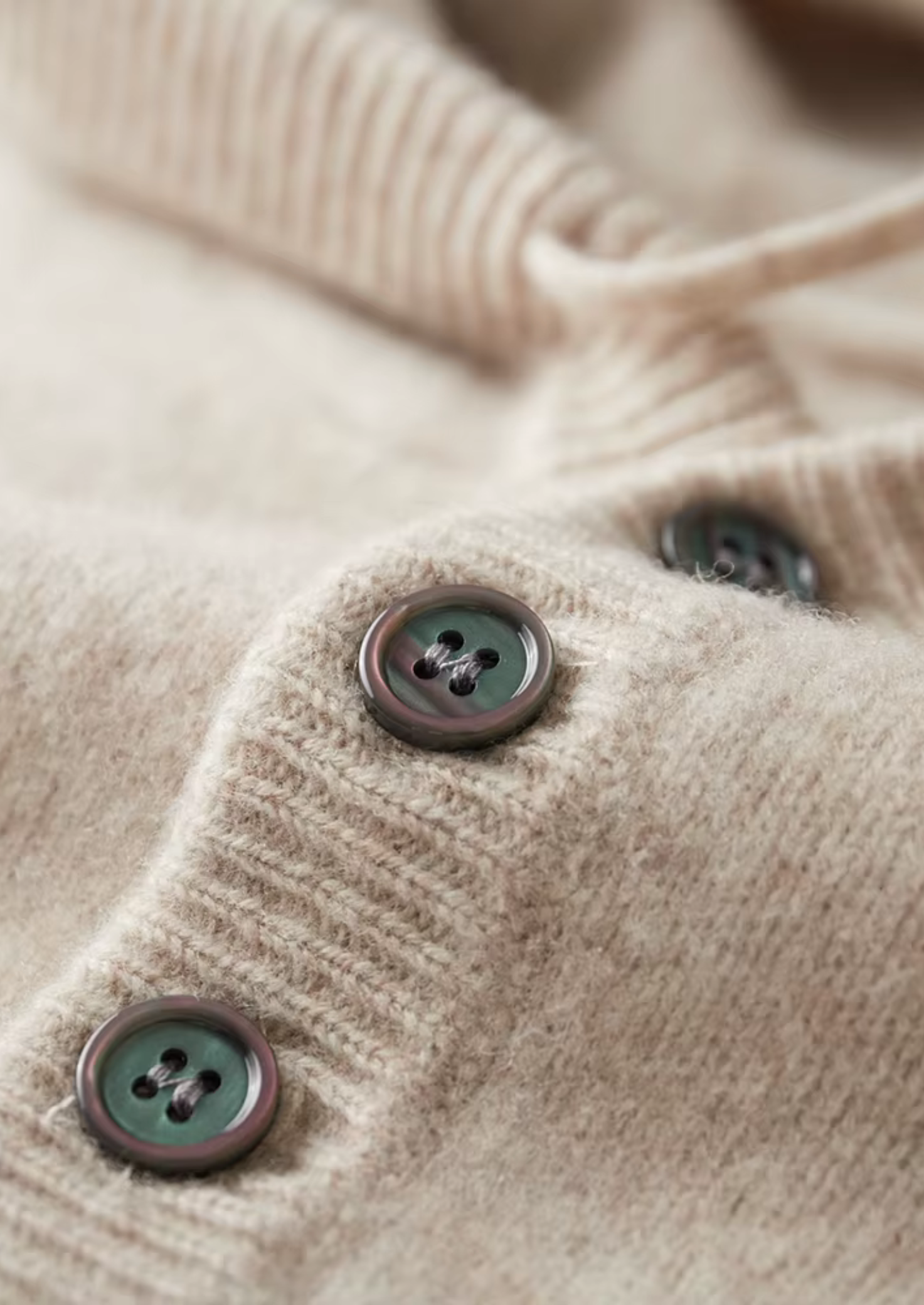 Belmont WOOL BUTTON HOODIE